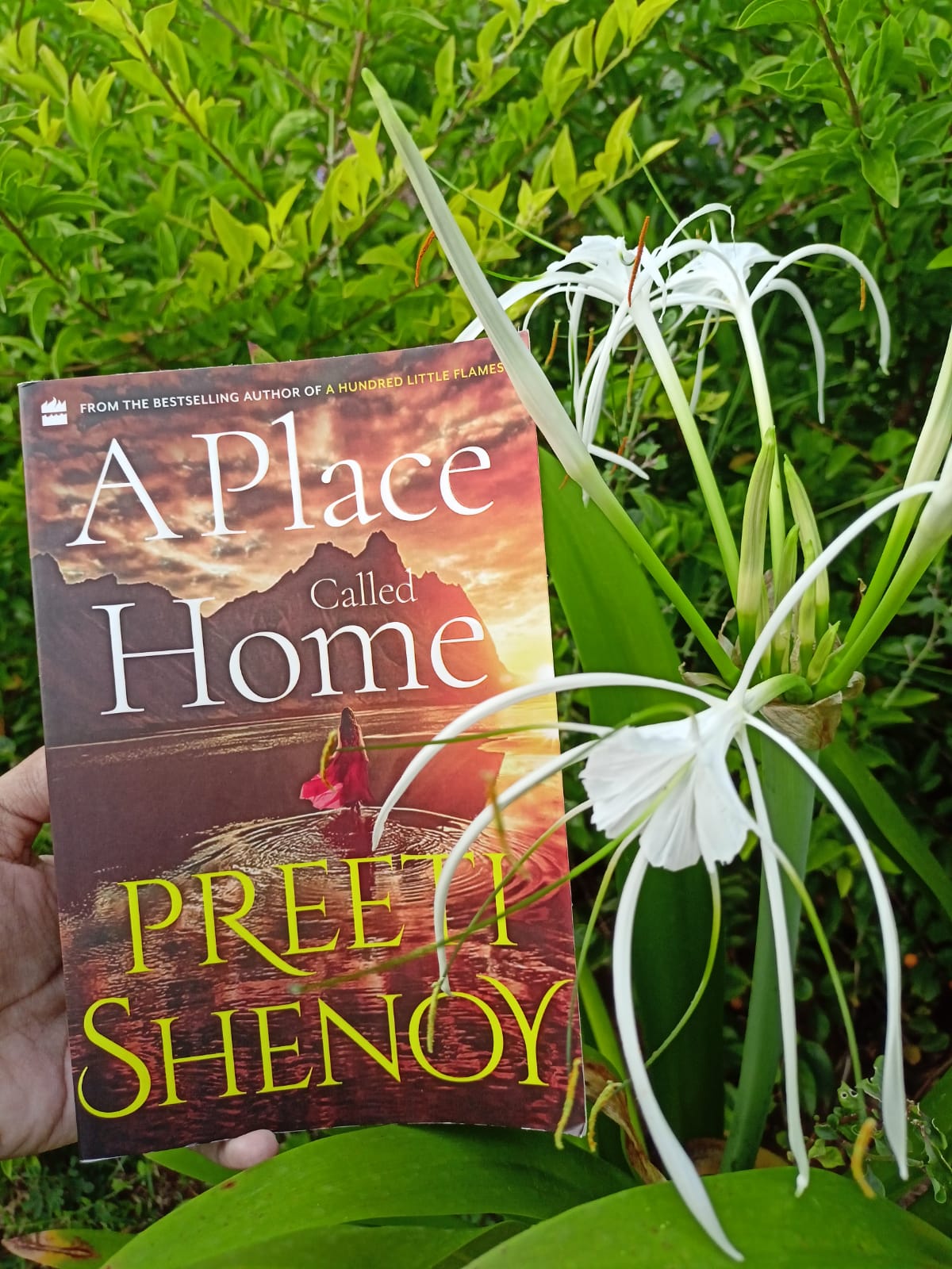 a place called home preeti shenoy pdf free download
